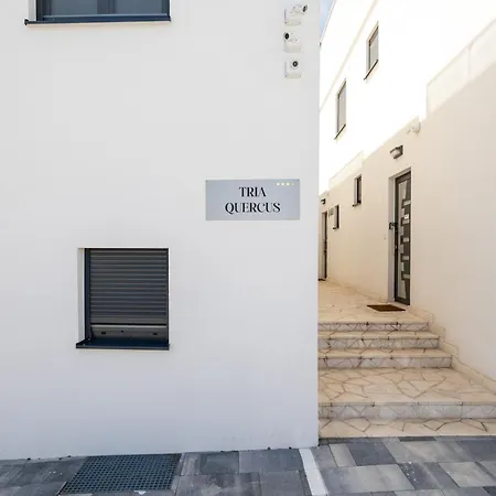 With Rooftop Pool Quercus Villa Vodice